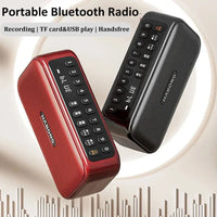Portable FM Bluetooth Speaker