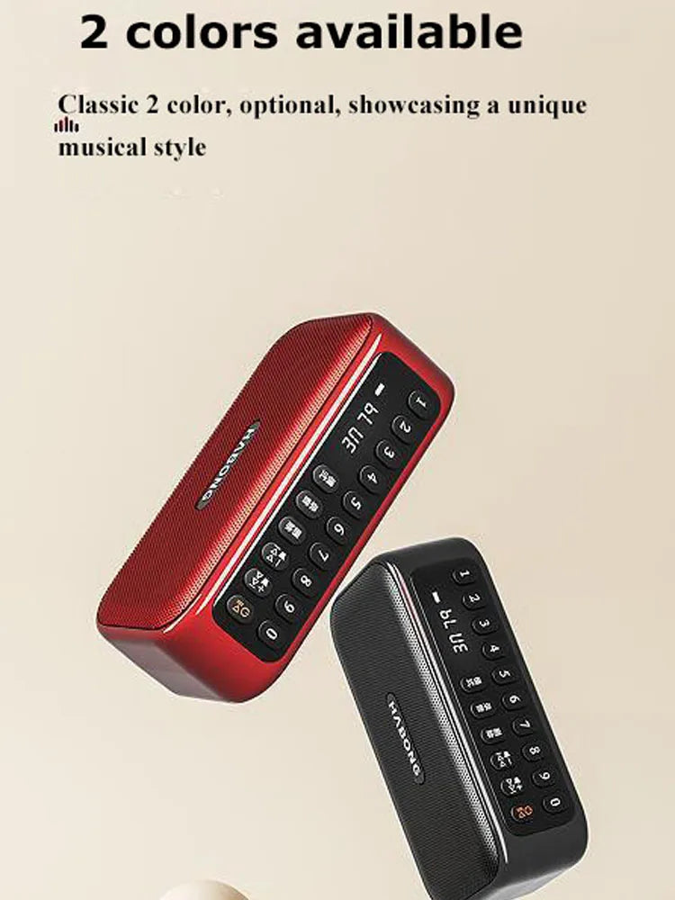 Portable FM Bluetooth Speaker