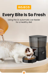 ROJECO 2L Automatic Feeder For Cats Smart Pet Fresh Food Dispenser With Stainless Steel Bowl Auto Cat Kibble Dispenser For Dogs