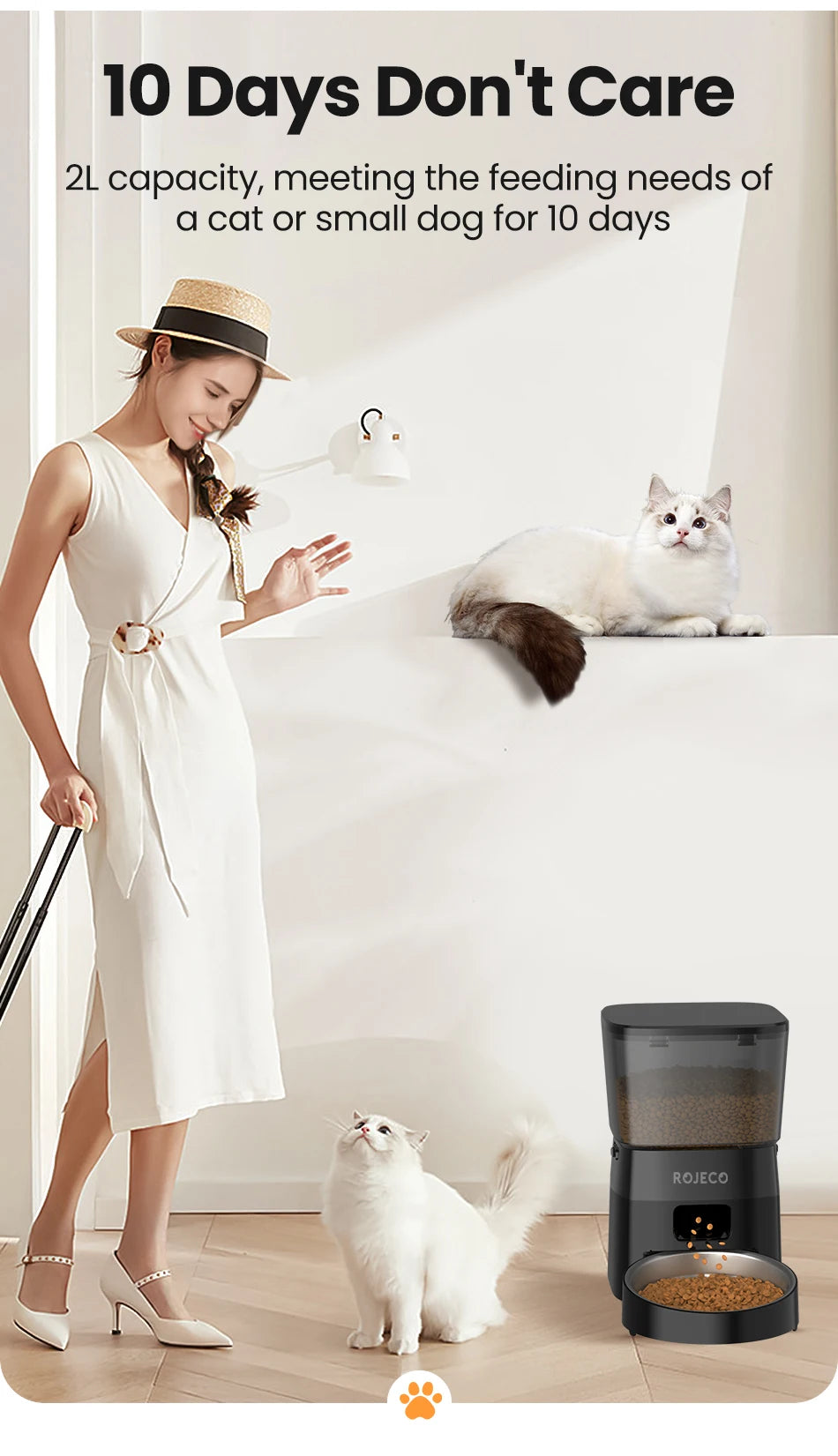 ROJECO 2L Automatic Feeder For Cats Smart Pet Fresh Food Dispenser With Stainless Steel Bowl Auto Cat Kibble Dispenser For Dogs