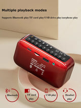 Portable FM Bluetooth Speaker