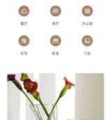 Irregular Transparent Glass Flower Vase 23cm*9cm Big Flower Bottle Tabletop Hydroponic Pot Home Living Room Table Decorations