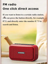 Portable FM Bluetooth Speaker