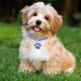 Shiny Zircon Pet Dog Neck Collars Durable Alloy Extended Chain Necklace for Small Medium Pets Pink Party Gifts Dogs Cat Necklace