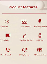 Portable FM Bluetooth Speaker