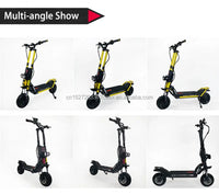 Electric Scooter Gold Color Sine Wave Display 72V 35Ah 2000Wx2 Skateboard Powerful Adult Foldable