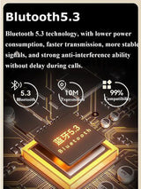 Portable FM Bluetooth Speaker
