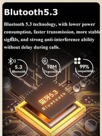 Portable FM Bluetooth Speaker