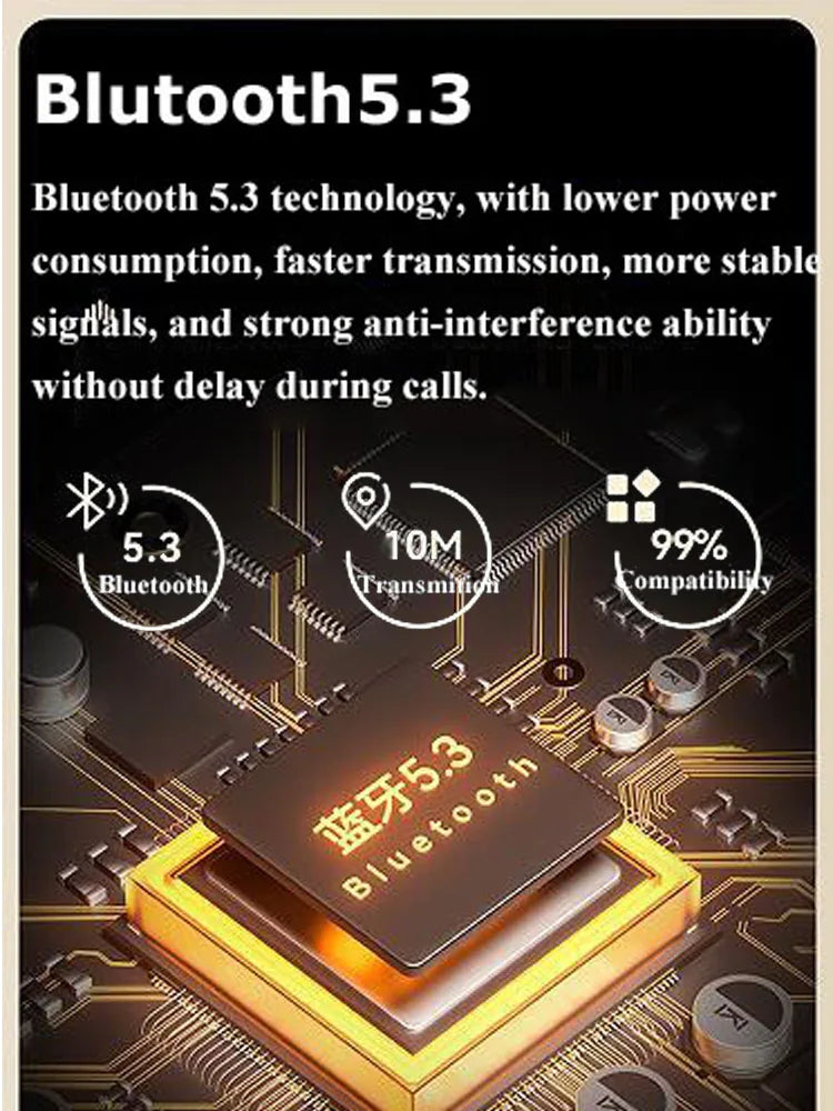 Portable FM Bluetooth Speaker