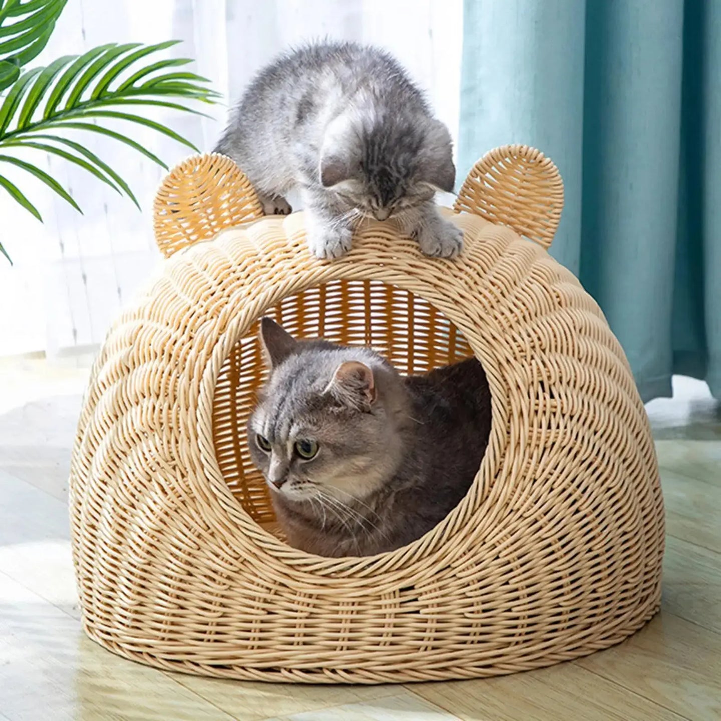 Cat Shaped Rattan Cat Bed Indoor Washable Kitten Nest Pet Semi-Closed Cage Small Cat Playing Sleeping Kennel Pet Supplies