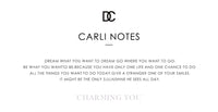 CARLIDANA Luxury Lucky Four Leaf Clover Necklace Love Heart Shell Pendant Choker Necklace for Women Stainless Steel Jewelry Gift