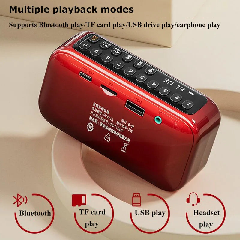 Portable FM Bluetooth Speaker