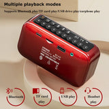 Portable FM Bluetooth Speaker