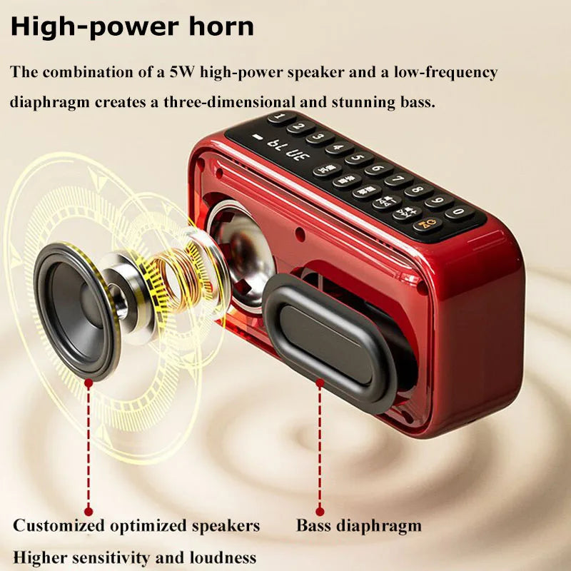 Portable FM Bluetooth Speaker